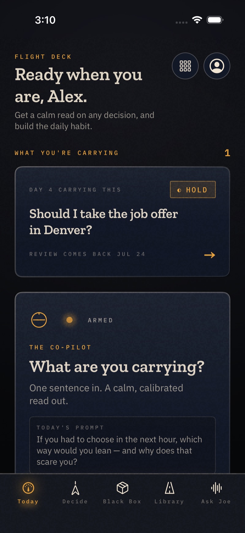UP2U Co-Pilot — the decision you're carrying, with its read and review date